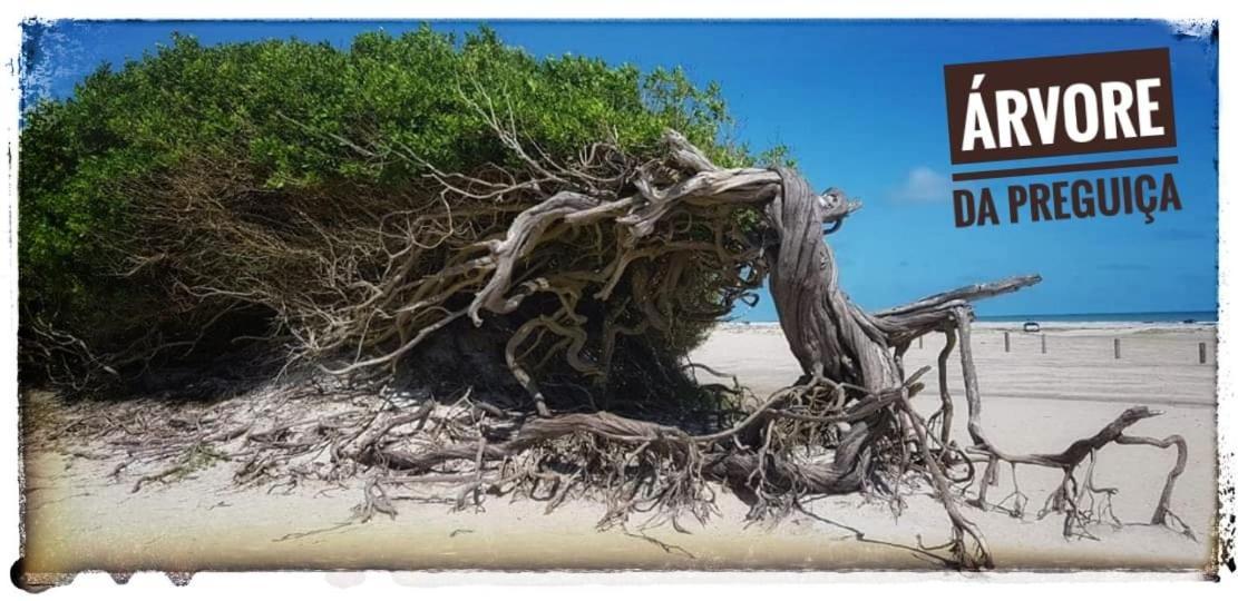 Villa Casa de temporada Jijoca de Jericoacoara Exterior foto
